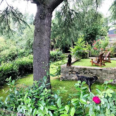 Maison L'Or Du Temps, Chambres D'Hotes La Boissiere-de-Montaigu Dış mekan fotoğraf